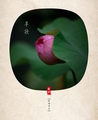半妆