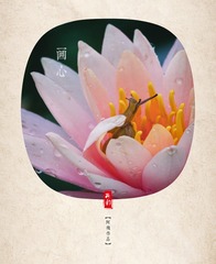 画心