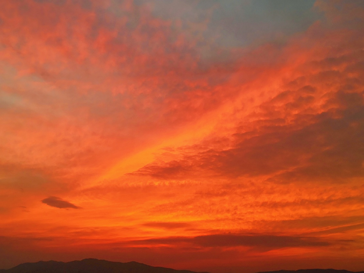 强烈的火烧云从西边一只直烧到东边,红彤彤的,好像是天空着了火