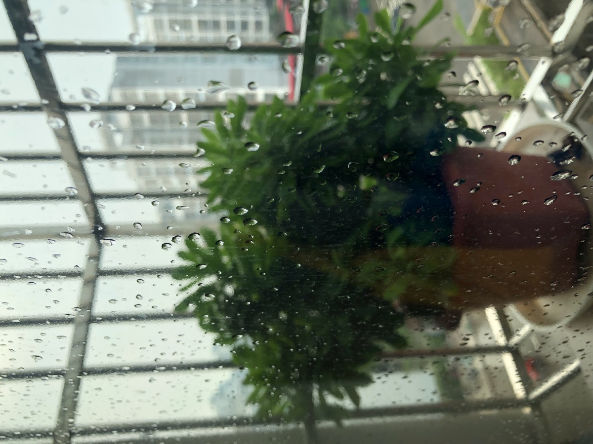 难得的一场及时雨
