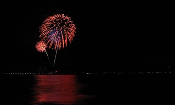 _DSC0239