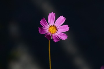 2946B022-B983-463B-9DE5-F916B5C4C1E0/L0/001