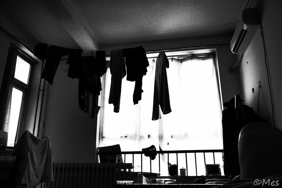 _1010058<br />
