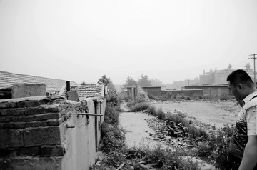 DSC_2461_