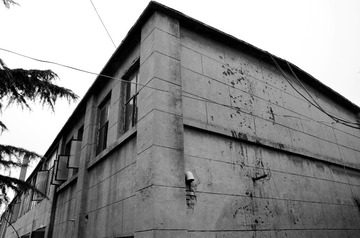 DSC_2545_