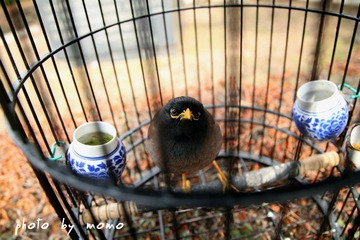 IMG_7740-320