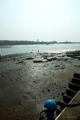 IMG_7643-320