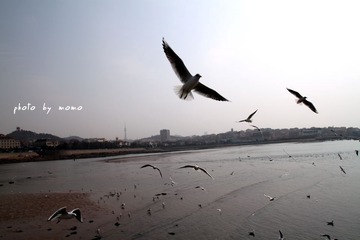 IMG_7645-320