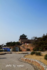 IMG_7733-320