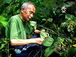 外公