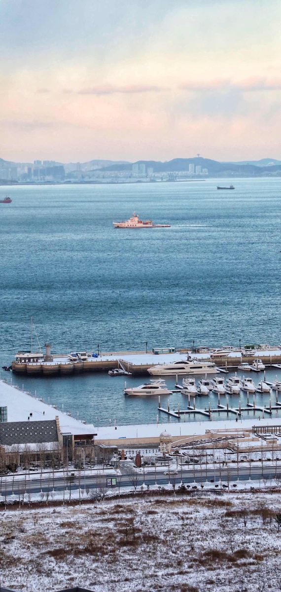 大连东港冬季海景