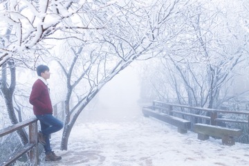 雪下得那么深 下得那么认真