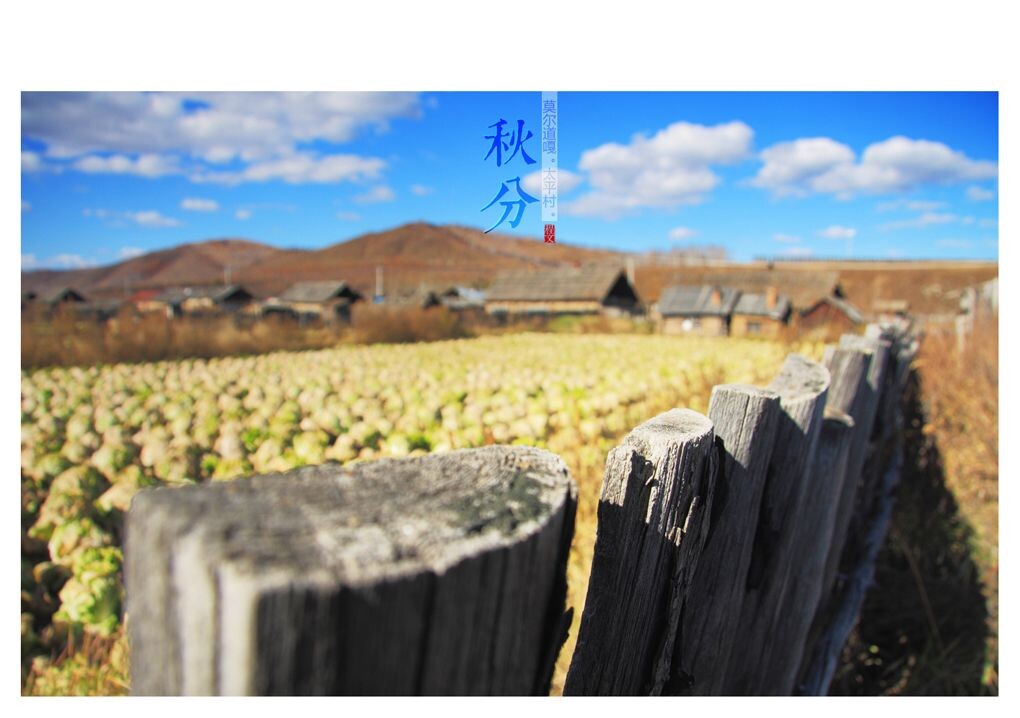 秋分