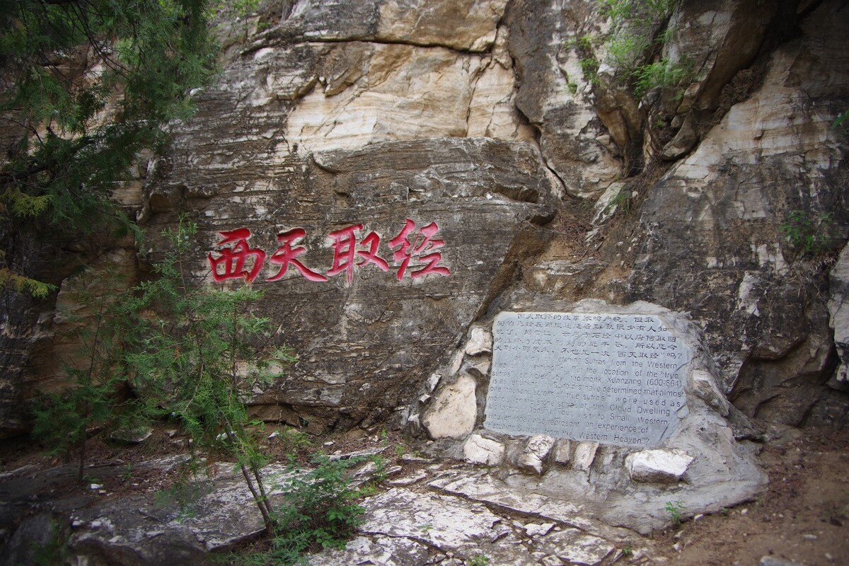 松阳三都的油菜花<br />

