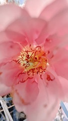 D8562762-DC35-41B0-B147-1F236A13683D/L0/001