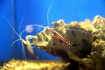 IMG_0105-120205.jpg