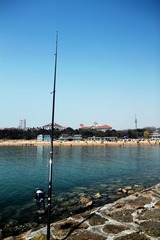 IMG_8208-110404