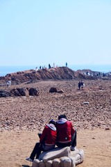 IMG_8224-110404