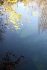 IMG_8422-110416