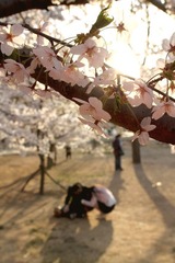 IMG_8562-110416