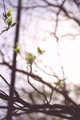 IMG_8419-110416