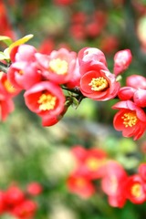 IMG_8625-110417