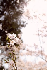 IMG_8601-110417