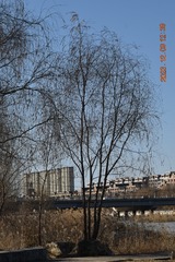 96543