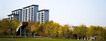 463382