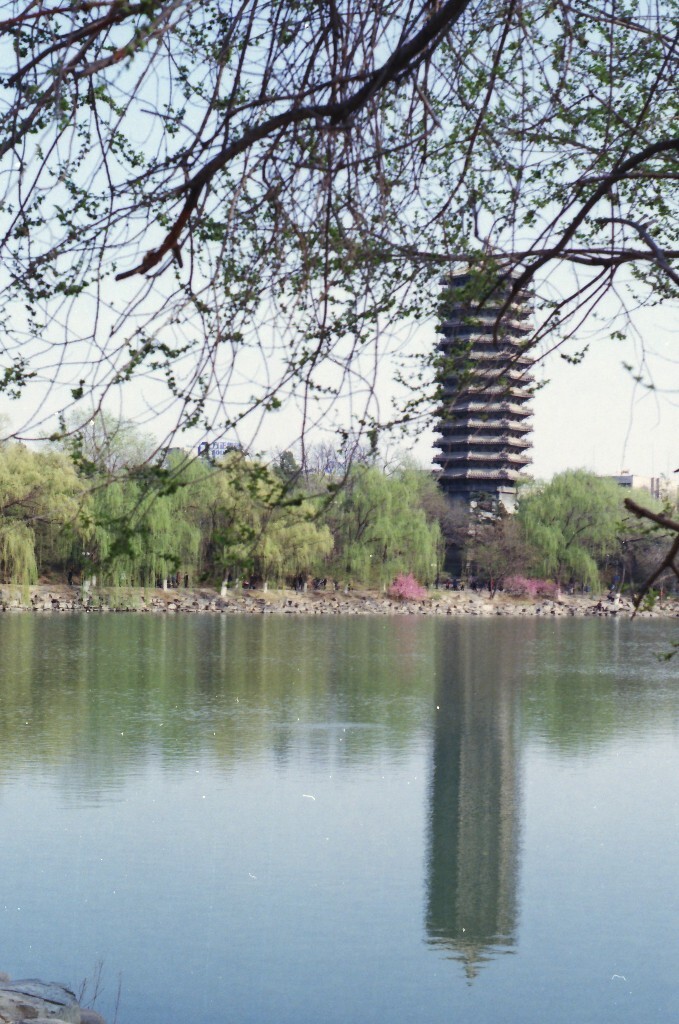 未名湖畔。