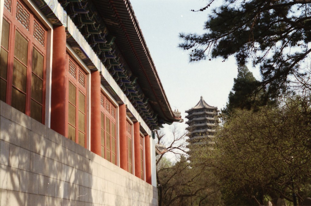 北大。