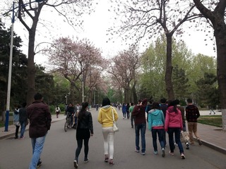 20140411