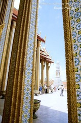 DSC_6927.jpg