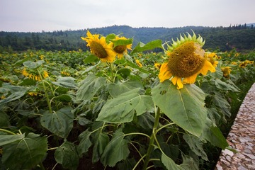 IMG_5183-2