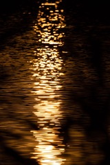 765B80E1-5453-4284-92C6-6C36F80EC5FA/L0/001