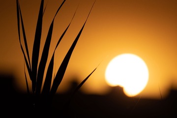 0C752DC7-1AE7-457C-9768-E1AC66A959AE/L0/001