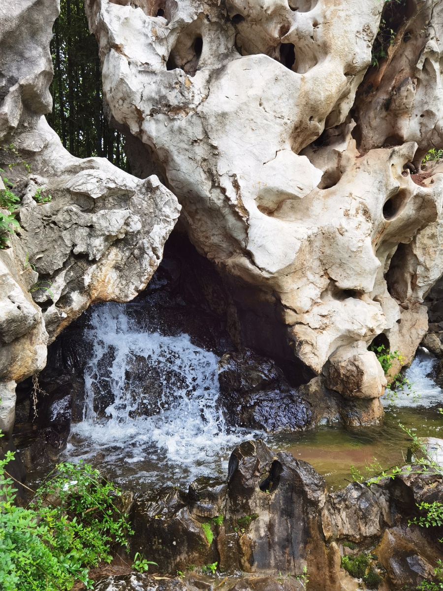 瞻园初夏辛丑年15