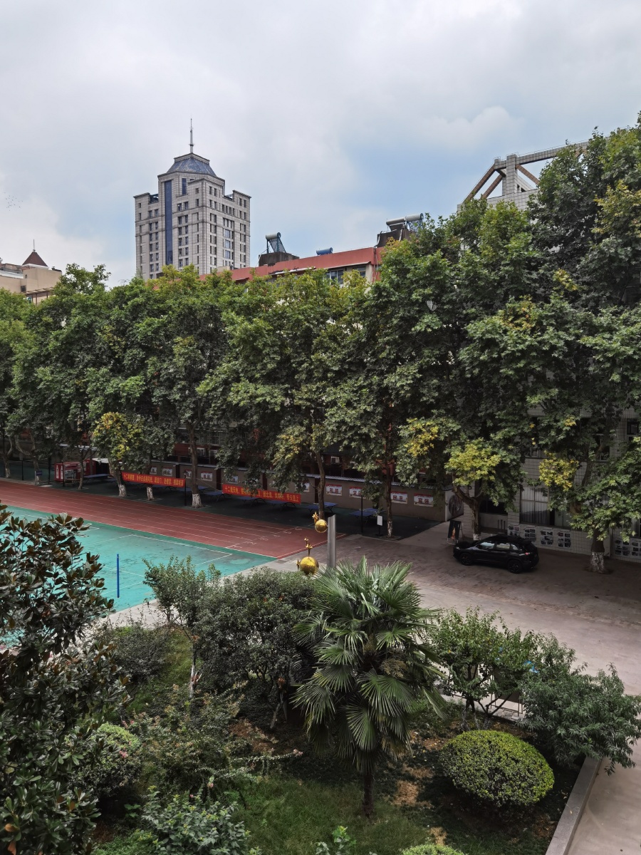 校园(南京五中)