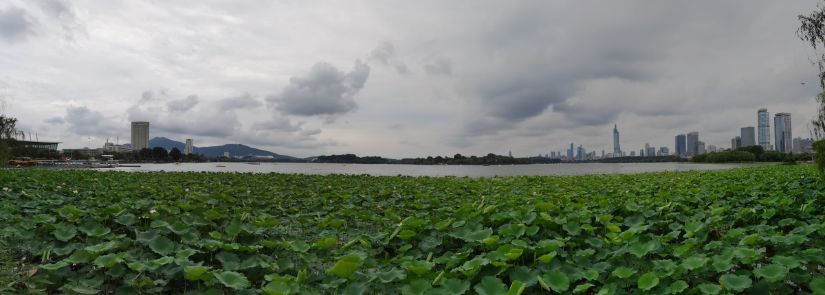 辛丑仲夏玄武湖13