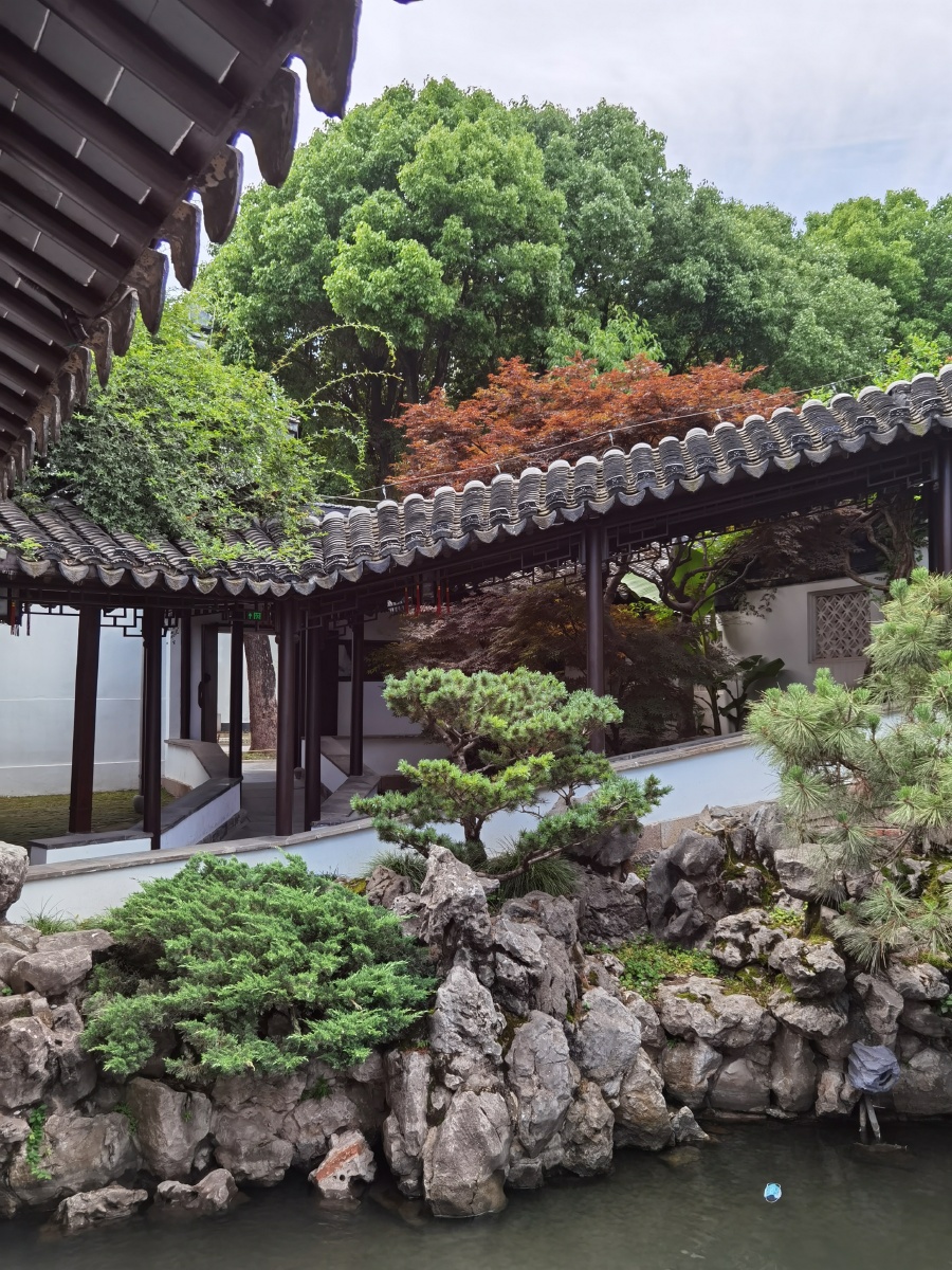 瞻园初夏辛丑年7