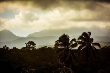 _MAX0809-HDR
