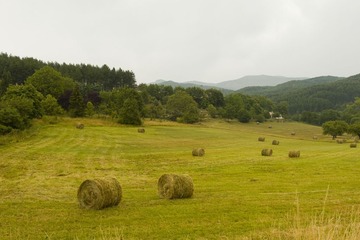 L1100849