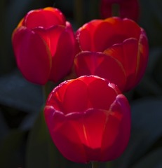 L1070663