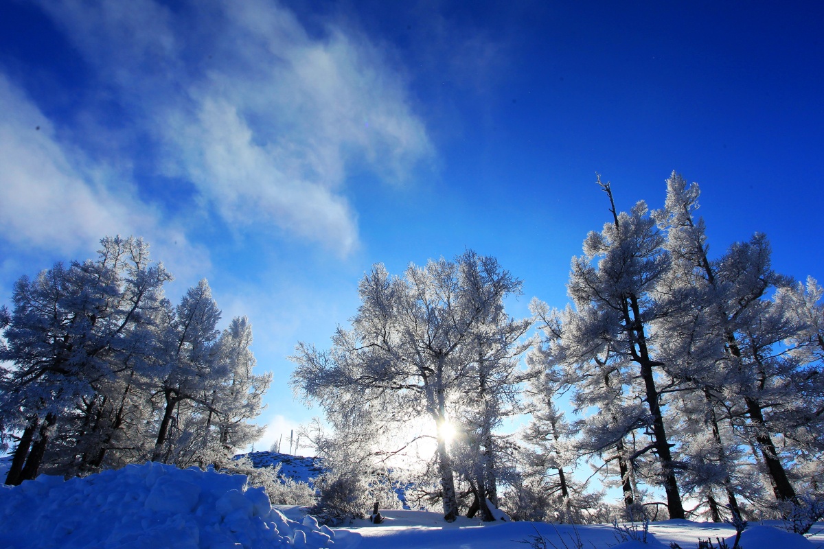 阿尔山白狼山的雾凇