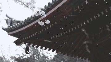 tofukuji (7)
