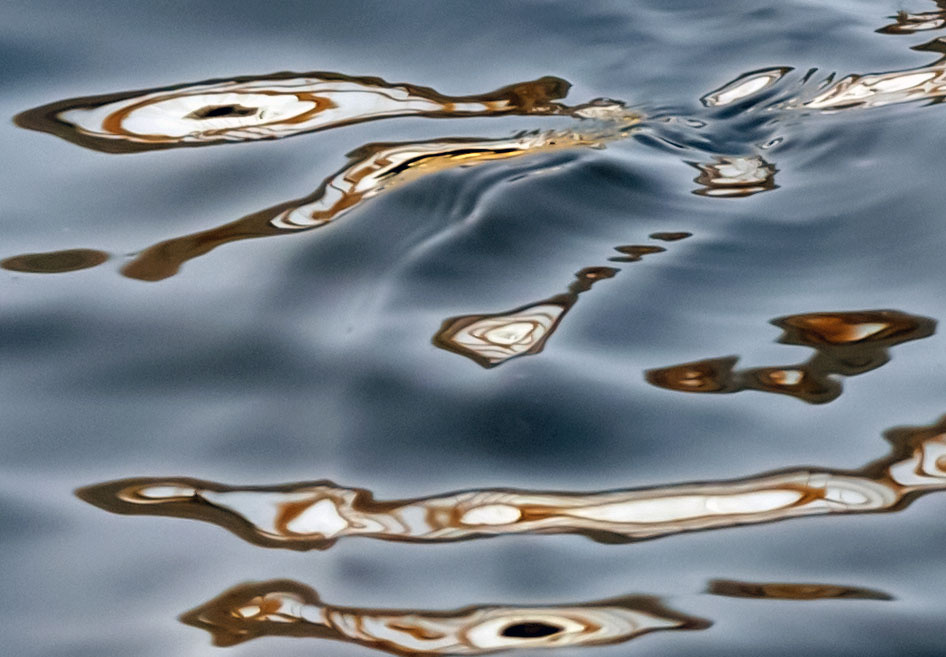 水面荡漾,涌出许多波纹,偶得一枚,感觉颇有画意