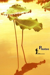 P1180520_________