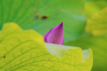 2016-07-13 10.58.32 1