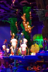 IMGP1729_副本.jpg