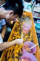 DSCF1861_副本.jpg
